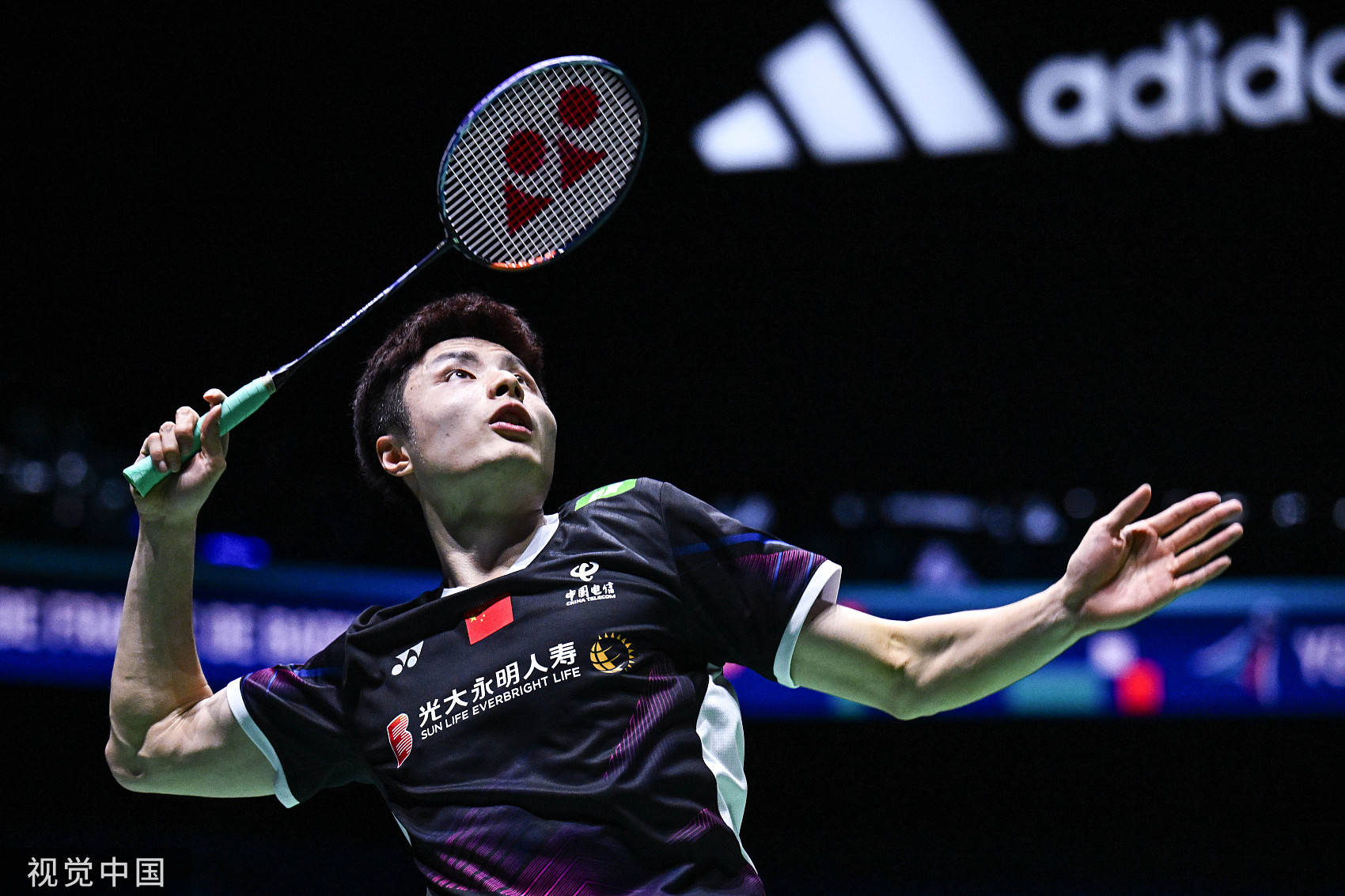 便展示了体 便展示了体