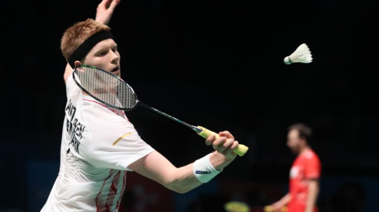 花缭乱的色 花缭乱的色