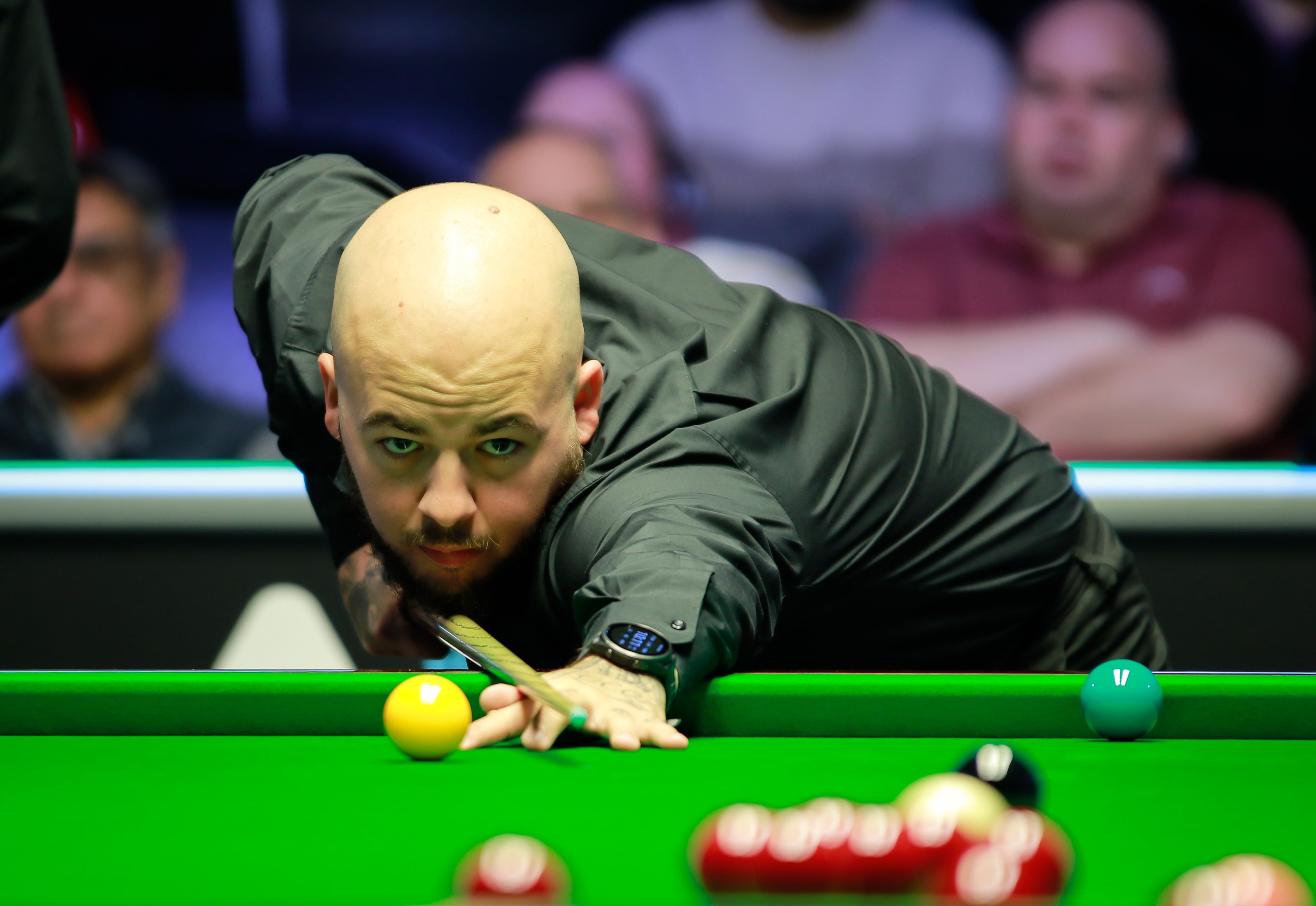 也是体育精 也是体育精