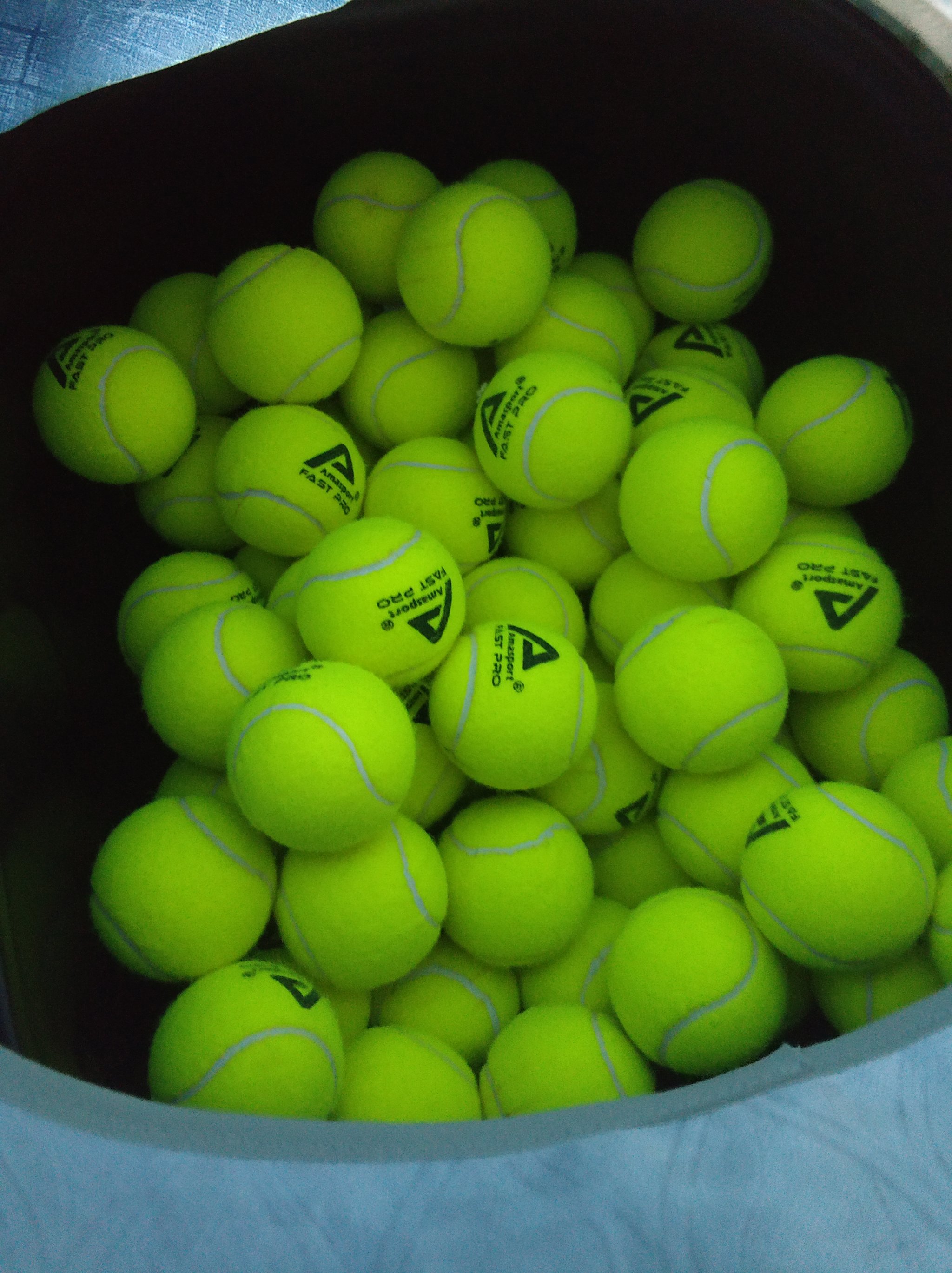 球队在新赛 球队在新赛